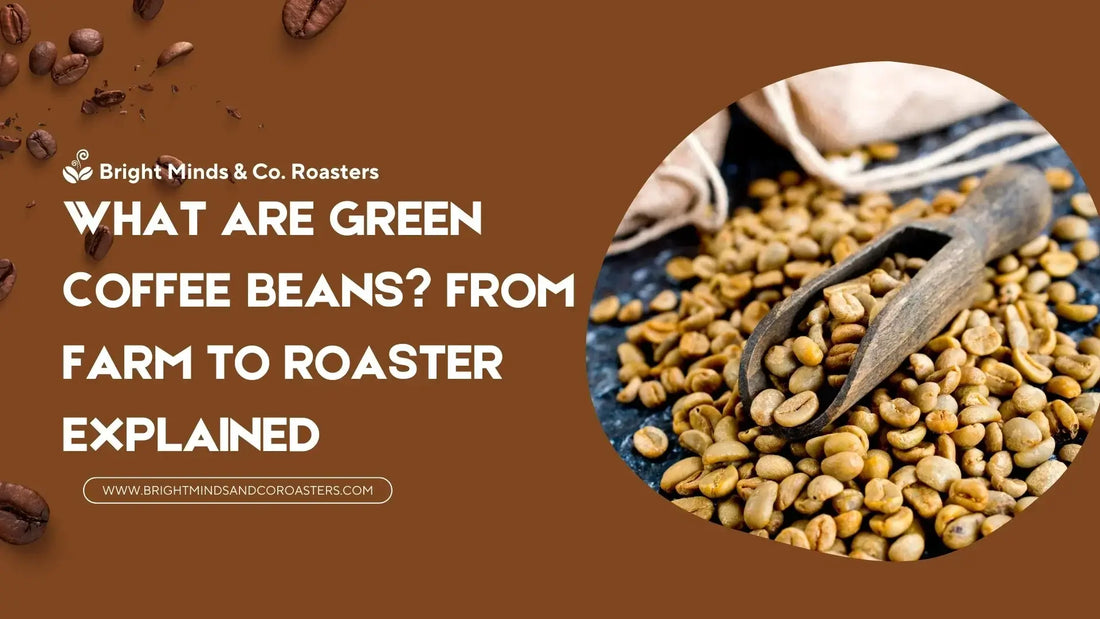 What Are Green Coffee Beans? From Farm to Roaster Explained