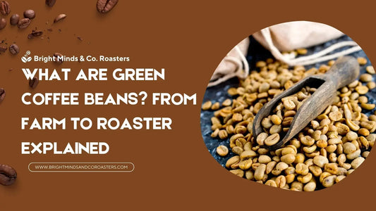 What Are Green Coffee Beans? From Farm to Roaster Explained